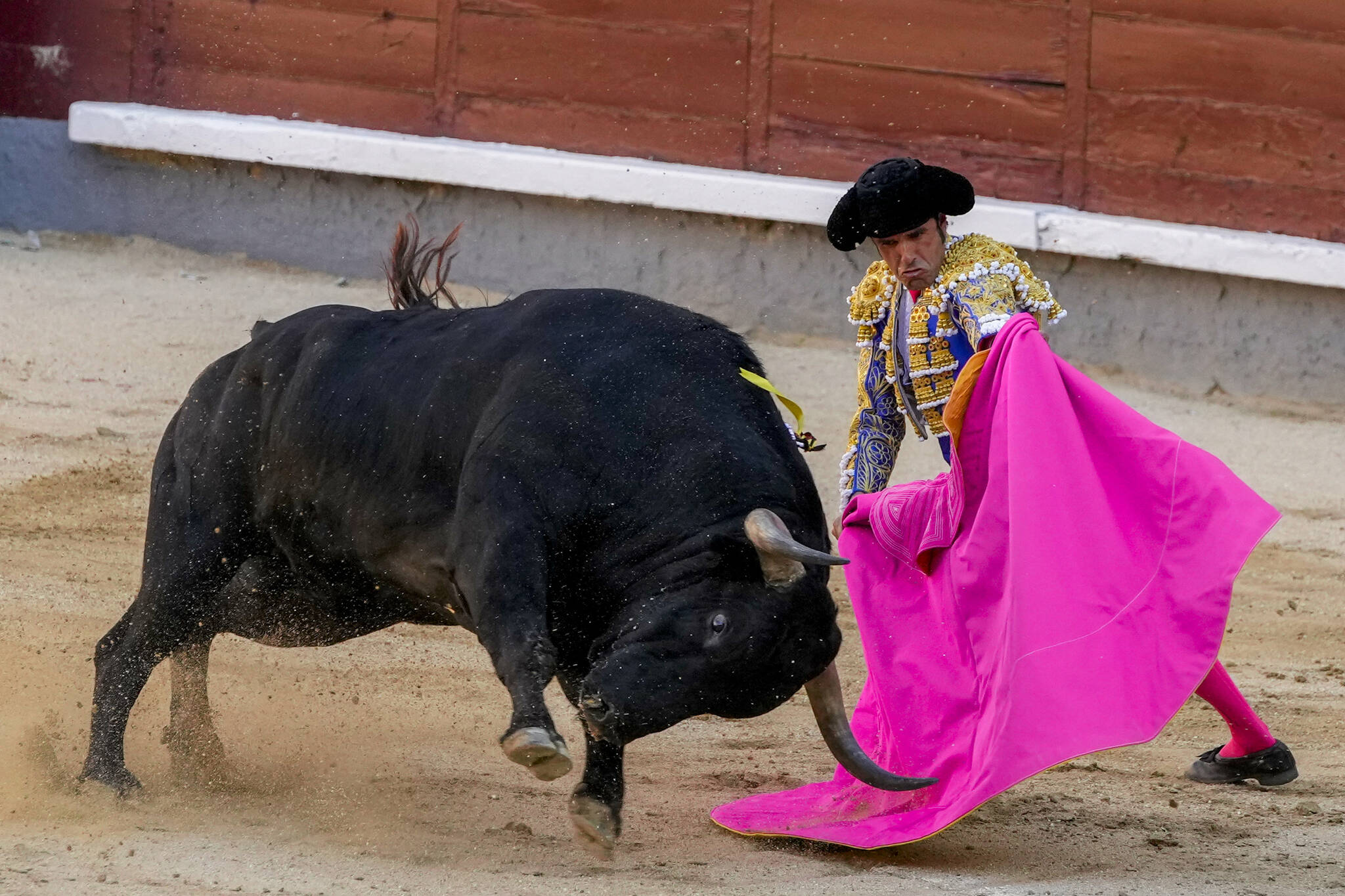 Spanish bullfighter Emilio de Justo performs a pass during a bullfight amid the coronavirus pandemic at Las Ventas bullring in Madrid, Spain, Sunday, July 4, 2021. (AP Photo/Manu Fernandez)