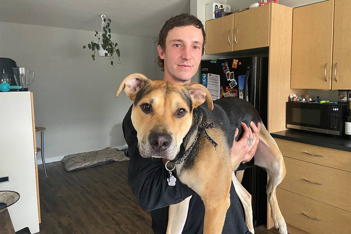 Josh Waters and his one-year-old English Staffy cross, Rocky. (Twila Amato/Black Press Media)