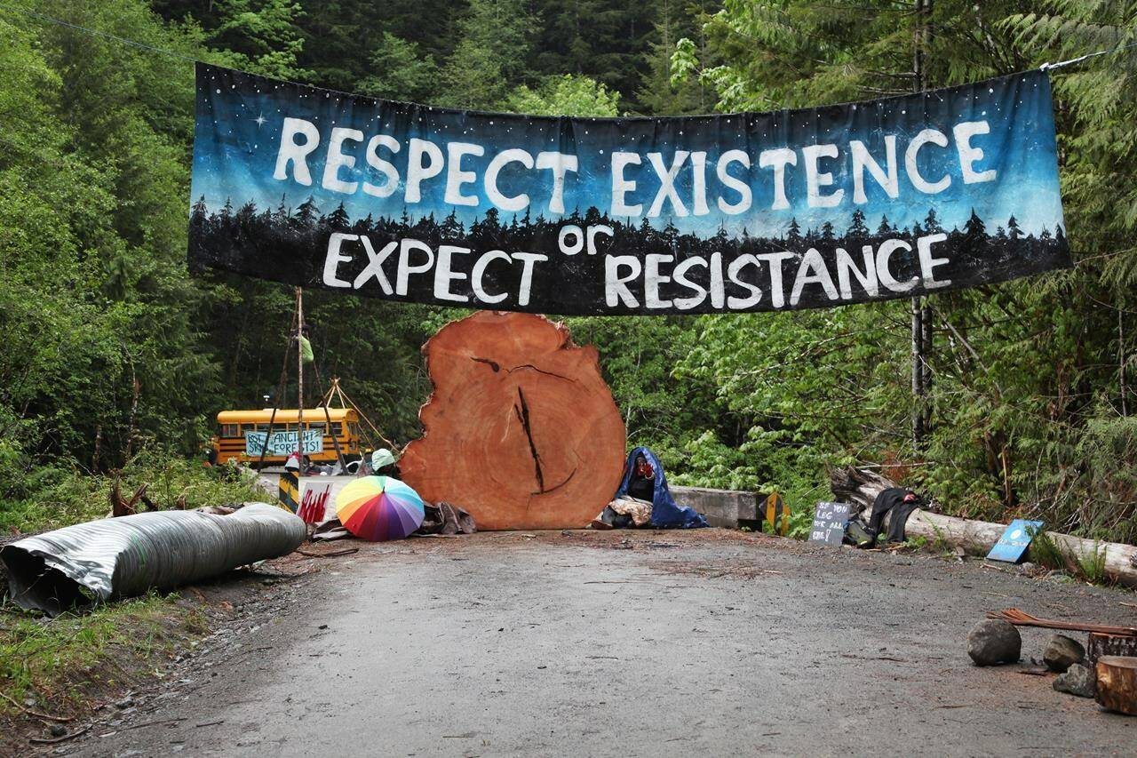 Protesters sit chained to a tree stump at an anti-old-growth-logging blockade in Caycuse, B.C. on Tuesday, May 18, 2021.A British Columbia Supreme judge has denied a forest company’s application to extend an injunction against blockades by people opposed to logging old-growth trees in the Fairy creek area of southern Vancouver Island.THE CANADIAN PRESS/Jen Osborne