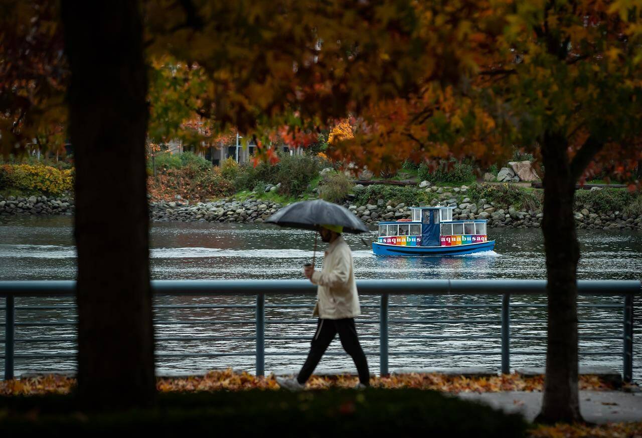 An Aquabus water taxi travels on False Creek as a person holds an umbrella while walking under fall foliage on the seawall, in Vancouver, on Saturday, Oct. 23, 2021. THE CANADIAN PRESS/Darryl Dyck