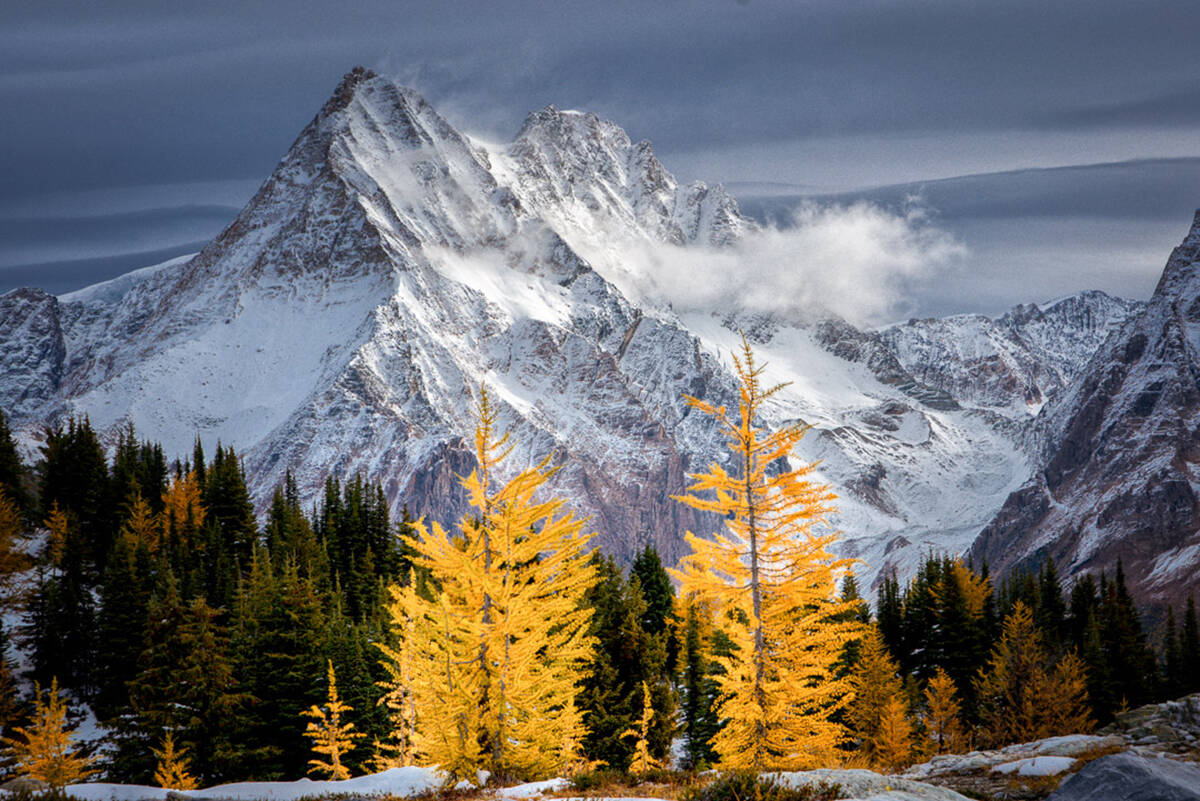 The Jumbo Glacier Mountain Resort Municipality, created to facilitate land management in the creation of the proposed Jumbo Glacier Resort west of Invermere, has been dissolved by the provincial government's Bill 26