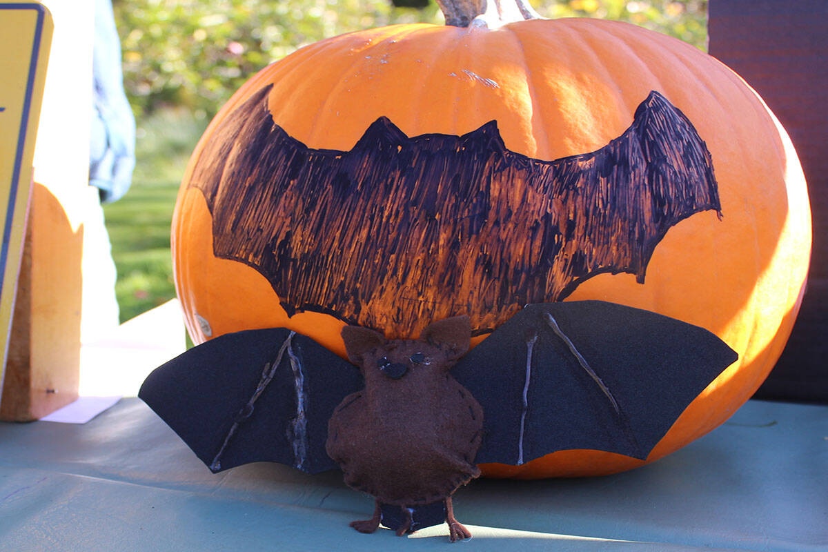 The Nature Conservancy of Canada said that spooky stereotypes surrounding creatures such as bats create misunderstandings about the important mammals. (Megan Atkins-Baker/News Staff)