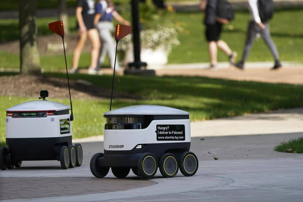 Robots navigate the Bowling Green State University campus in Bowling Green, Ohio on Thursday, Oct. 13, 2021. Robot food delivery is no longer the stuff of science fiction. Hundreds of little robots __ knee-high and able to hold around four large pizzas __ are now navigating college campuses and even some city sidewalks in the U.S., the U.K. and elsewhere. While robots were being tested in limited numbers before the coronavirus hit, the companies building them say pandemic-related labor shortages and a growing preference for contactless delivery have accelerated their deployment. (AP Photo/Carlos Osorio)