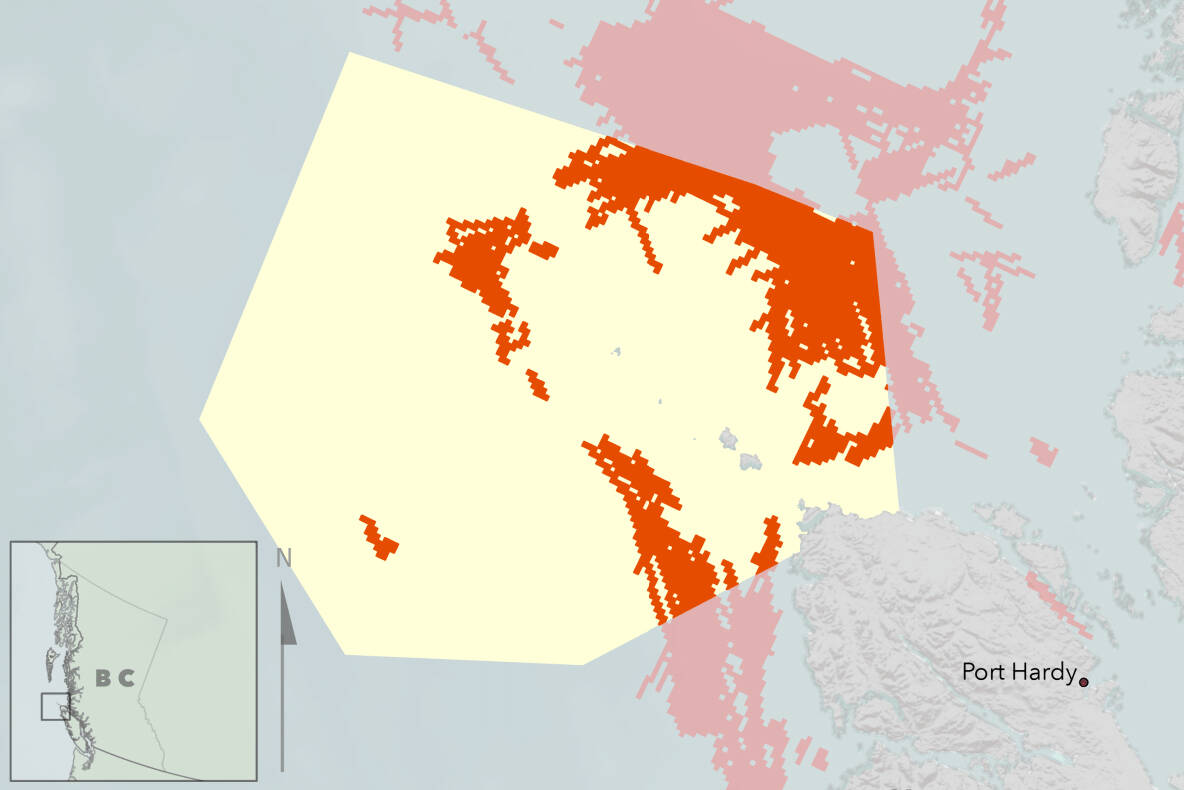 Within the Scott Islands marine National Wildlife Area (yellow area), about 15 per cent features active bottom trawling (in red), making it ineffective at protecting biodiversity, per a new CPAWS report. Map by CPAWS.