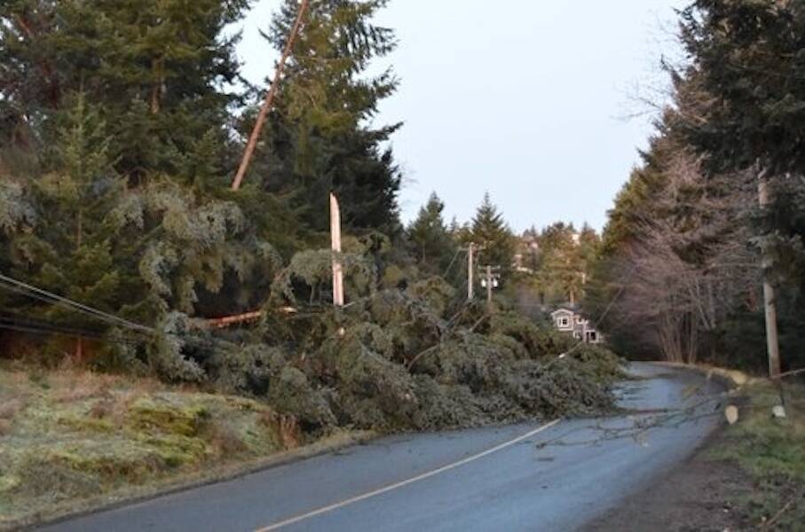 BC Hydro crews responding to downed trees following a windstorm in the Lower Mainland on Nov. 9, 2021. (BC Hydro photo)