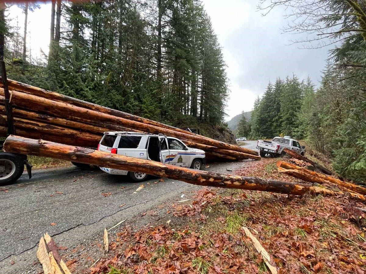 A logging truck dumped its load of logs onto two RCMP cruisers near Mesachie Lake Tuesday morning, sending three police officers to hospital with non-life threatening injuries. (RCMP photo)