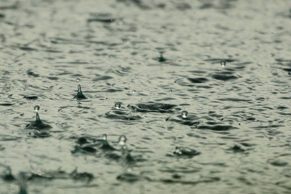Heavy rain forecast. (Pixabay photo)