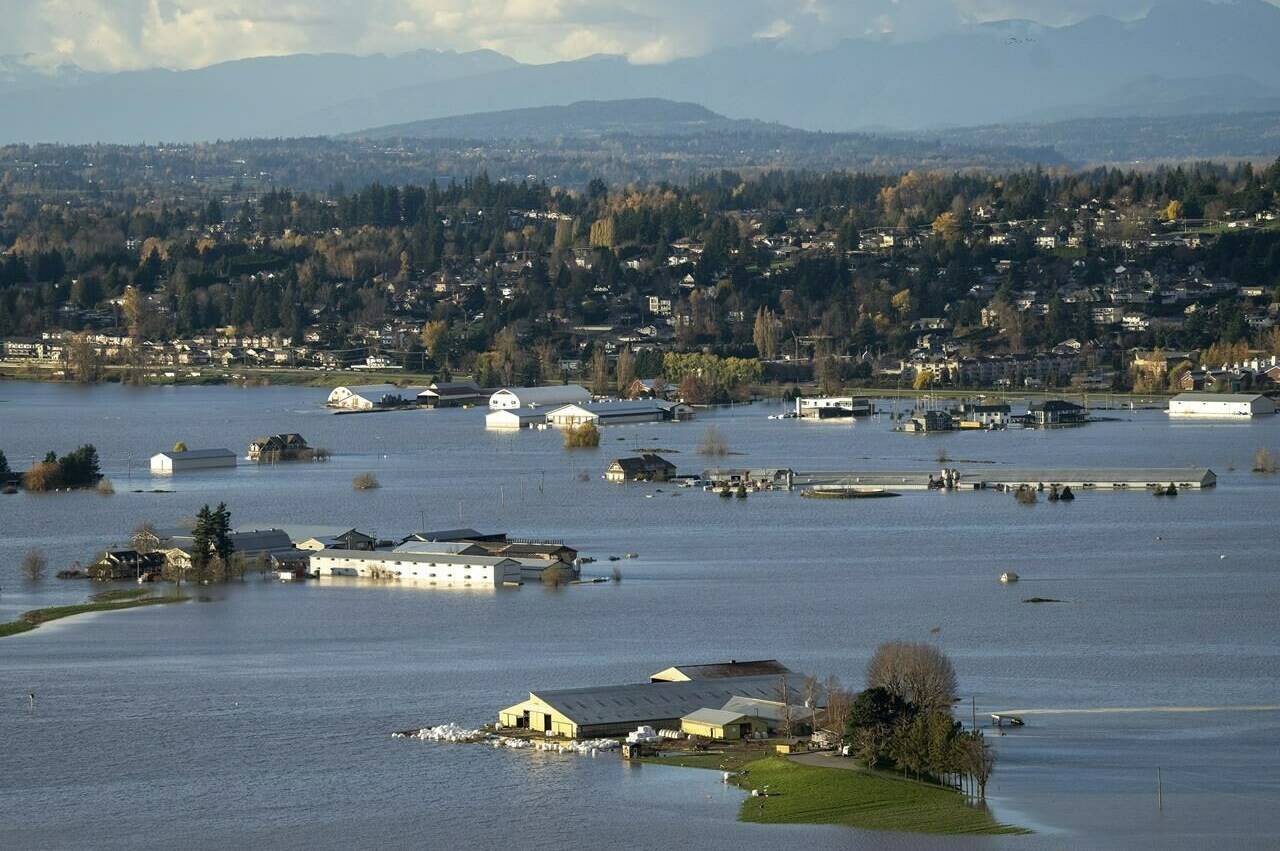 Properties inundated by flood waters are seen in Abbotsford, B.C., Tuesday, Nov. 16, 2021. Farmers in B.C. are coming together to save livestock as parts of the Fraser Valley are under water due to devastating flooding says an association that represents the province’s dairy farmers. THE CANADIAN PRESS/Jonathan Hayward