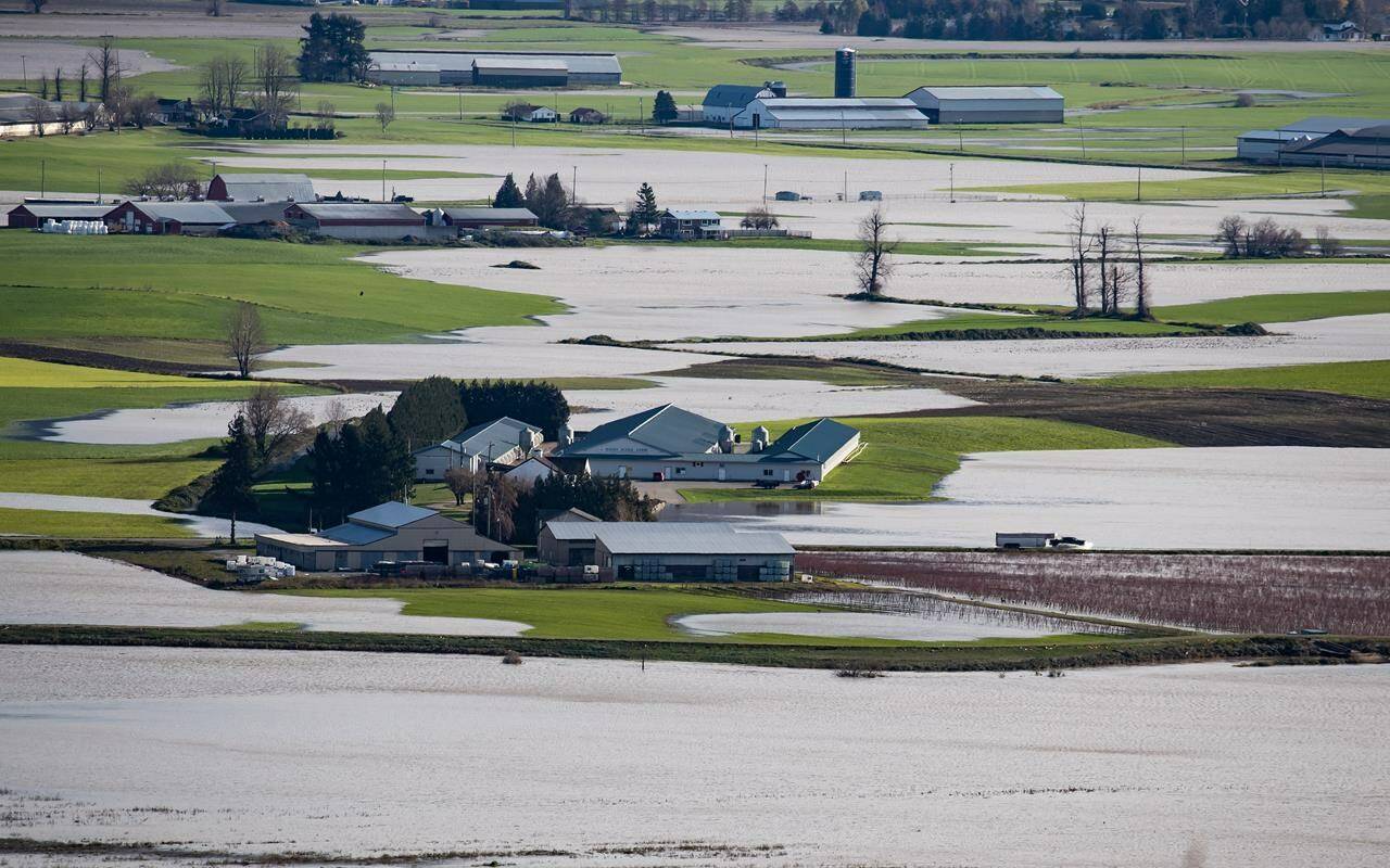 A truck towing a horse trailer travels through flooded farmland on a road partially covered with water in Abbotsford, B.C., on Wednesday, November 17, 2021. THE CANADIAN PRESS/Darryl Dyck