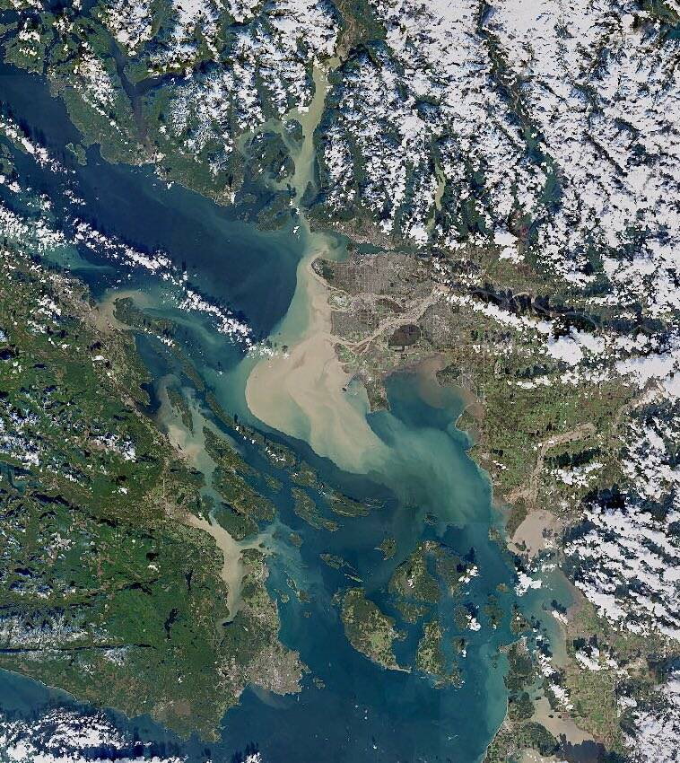 Flooding on the Lower Mainland can be seen from space. (Chris Hadfield/Twitter)