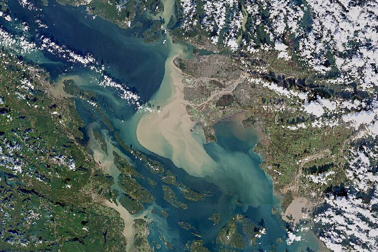 Flooding on the Lower Mainland can be seen from space. (Chris Hadfield/Twitter)