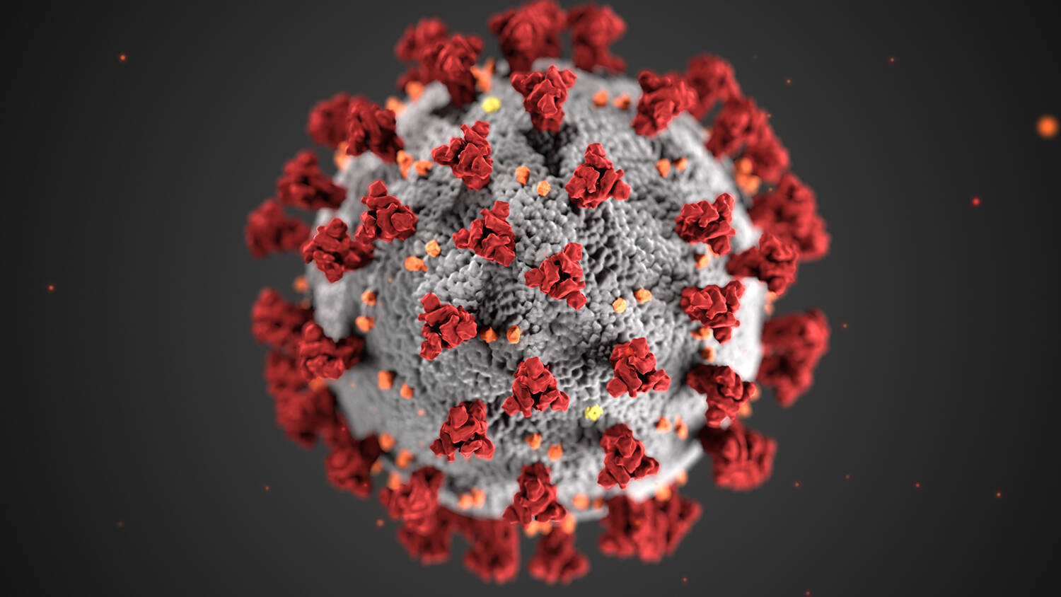 COVID-19 virus (file photo).