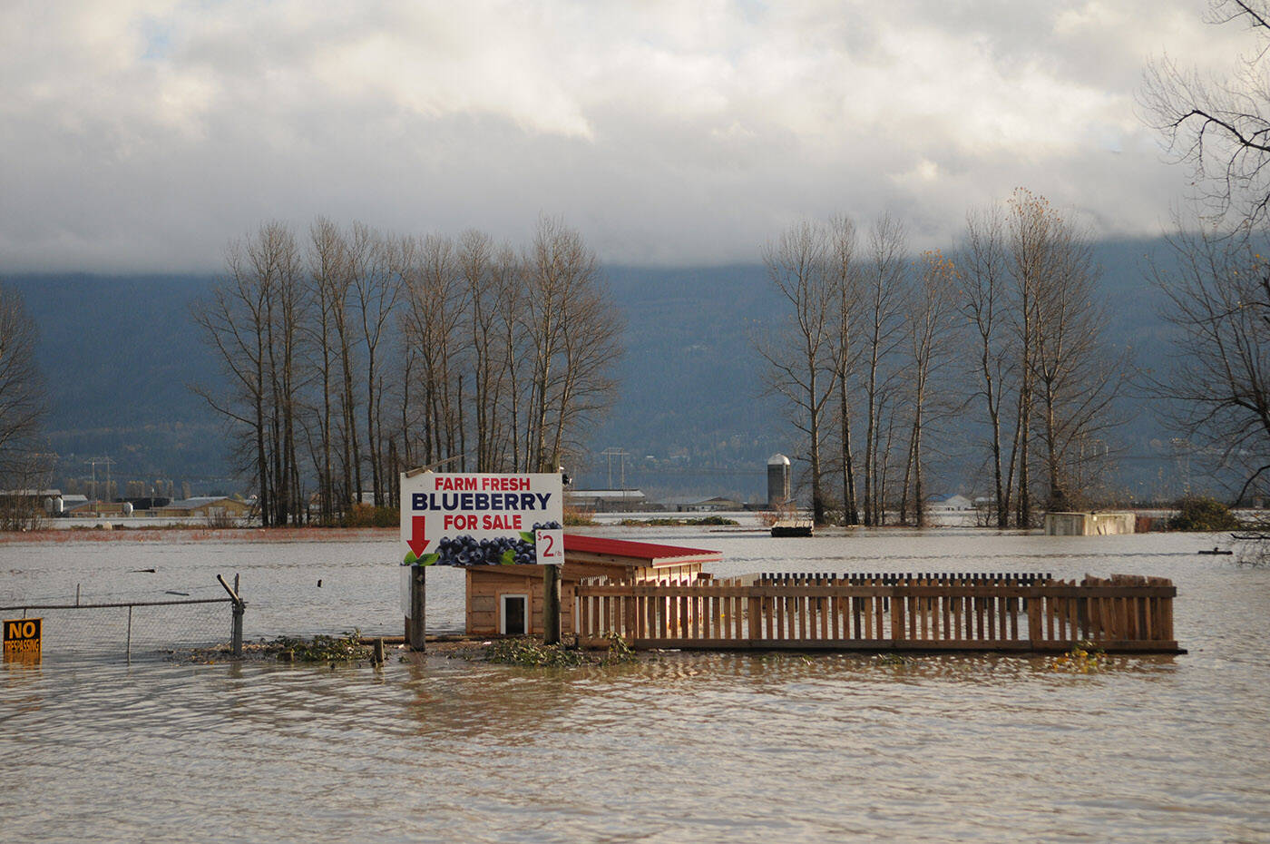A property in Sumas Prairie as seen from Highway 1 on Saturday, Nov. 20, 2021. (Jenna Hauck/ Chilliwack Progress)