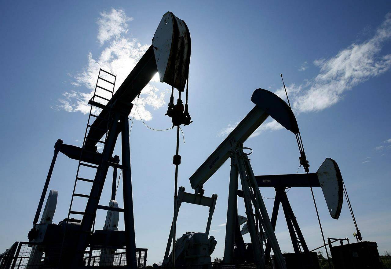 Pumpjacks are shown pumping crude oil near Halkirk, Alta., on June 20, 2007. THE CANADIAN PRESS/Larry MacDougal