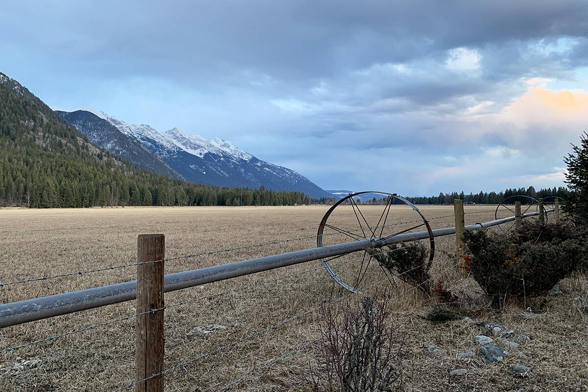The province of B.C. is requiring irrigators, industries, waterworks and others who use groundwater from a well or dugout for non-domestic use to apply for a water license by March of 2022. (Corey Bullock/Cranbrook Townsman)