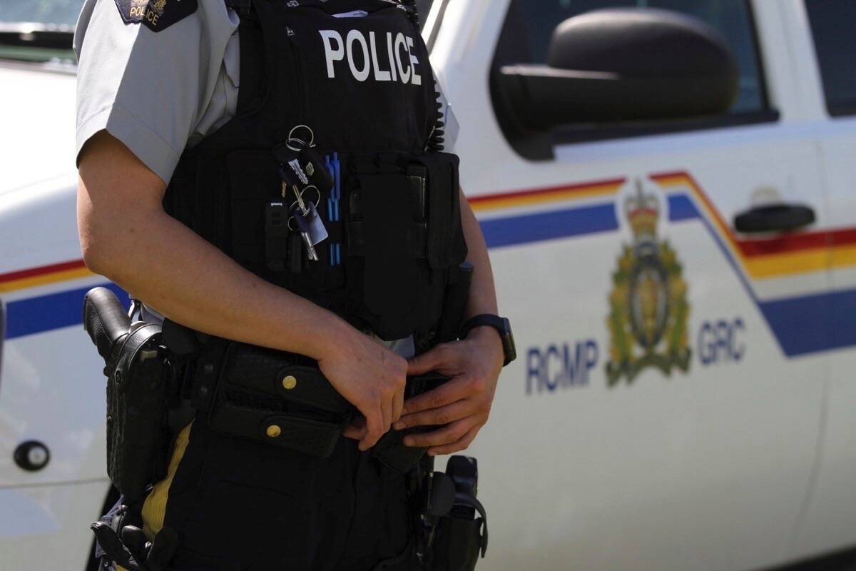 Surrey RCMP worked with Homeland Security to place charges against a U.S. man for child luring. (File photo)
