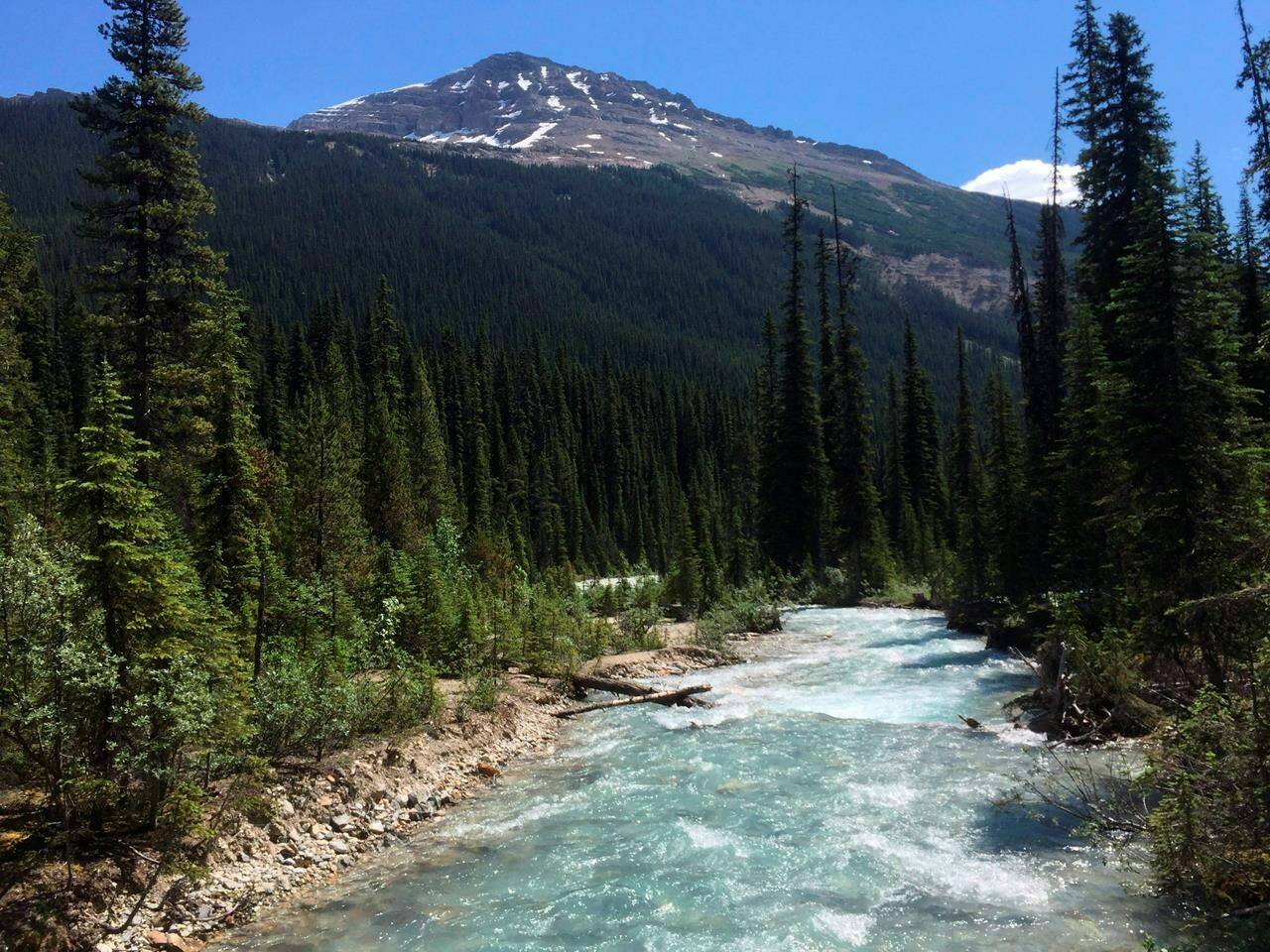 The Yoho River through Yoho National Park in Canada’s stretch of the Rocky Mountains, straddling the border of British Columbia and Alberta, is shown on July 6, 2017. Federal Environment Minister Steven Guilbeault is expected to announce funding today to fight invasive species in five mountain national parks in Alberta and British Columbia. THE CANADIAN PRESS/AP-Adam Kealoha Causey