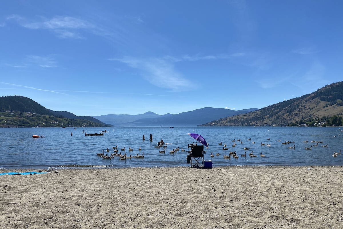 Temperatures soared to the 40 C range this summer as the province of B.C., Canada baked in a ‘heat dome.’ (Black Press file)