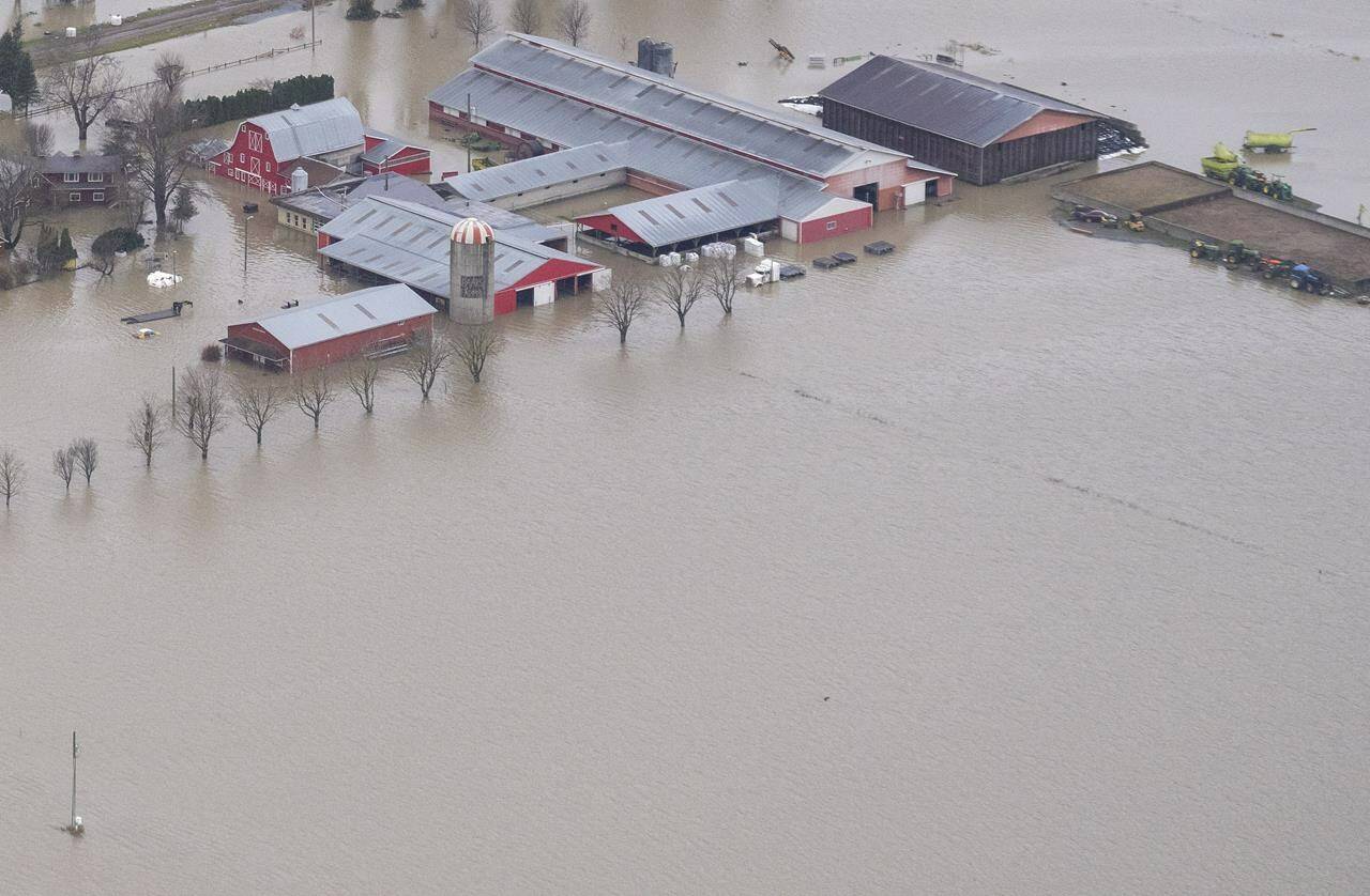 Flood waters surround a farm in Abbotsford, B.C., Tuesday, Nov. 23, 2021. Nearly 15,000 people were forced from their homes in southwestern B.C., where repairs on some severed highways and bridges have been made while the Coquihalla Highway, a major route to B.C.’s Interior, is expected to remain closed until late January. THE CANADIAN PRESS/Jonathan Hayward