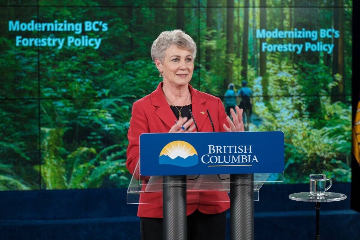 Katrine Conroy, the Minister of Forests, Lands, Natural Resource Operations and Rural Development, was treated in hospital for injuries suffered when she was reportedly knocked to the ground by an unknown person on Dec. 7 near the B.C. legislature. (B.C. government photo)