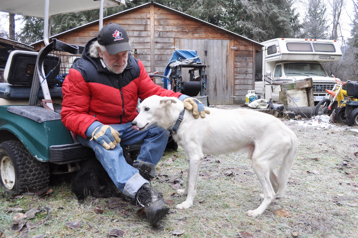 Al Magaw pets his dog Pan at his home in Salmo. Magaw operated a sled dog kennel for over 40 years until February, when most of his dogs were seized by the BC SPCA. Photo: Tyler Harper