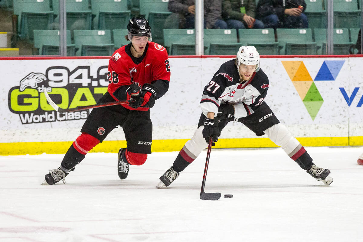 Giants, now 3-3 against the Cougars, fell Wednesday, 7-3. They’re hoping to bounce back in Saturday’s rematch against Prince George at LEC. (James Doyle/Special to Langley Advance Times)