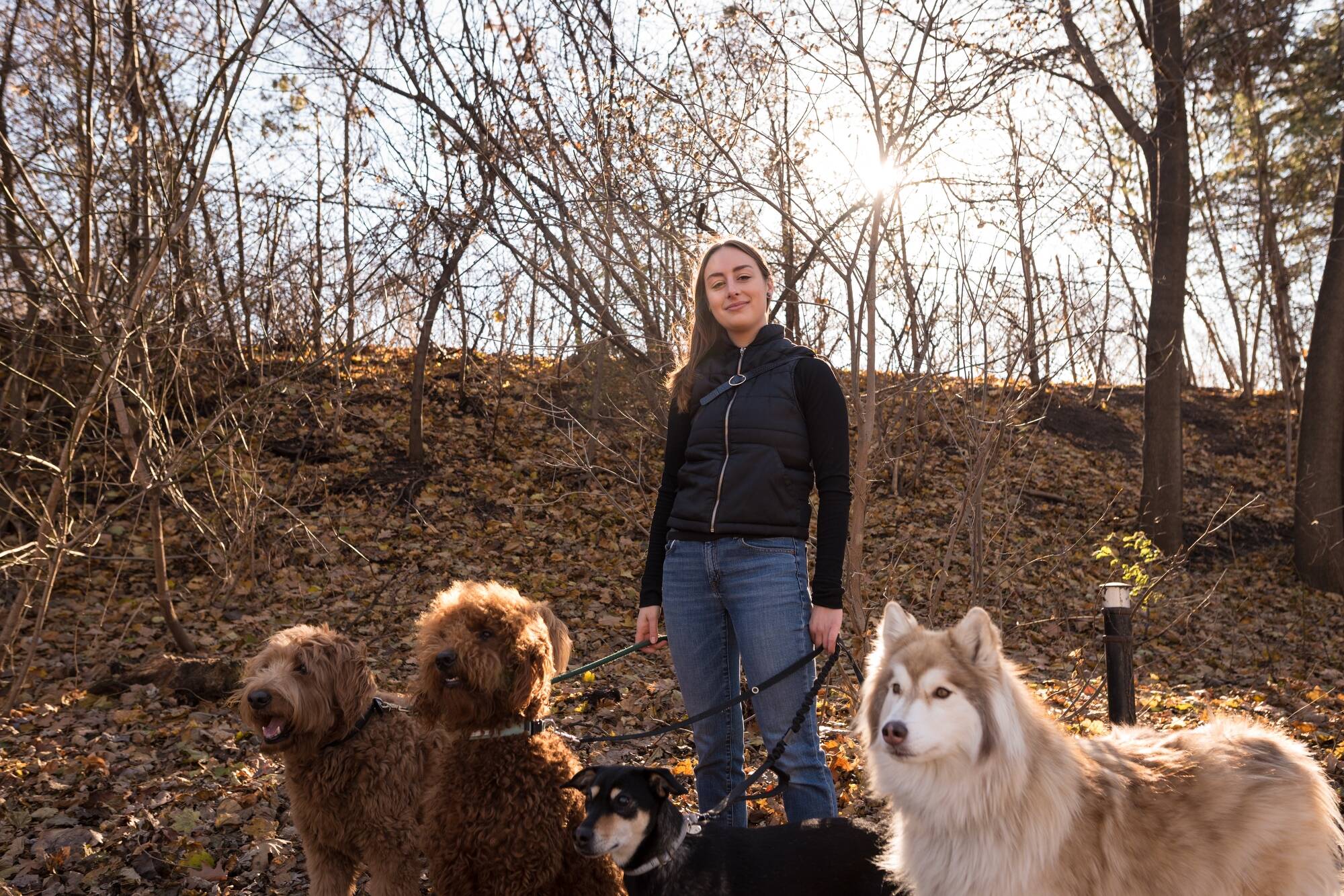 Maddy Hejak, owner of Dog Logic Toronto, poses for a photograph while dog walking for clients in Toronto, on Monday, December 13, 2021. The pandemic puppy boom has been a boon to the pet industry, helping businesses recoup lockdown-related losses, and in some cases, expand operations, say owners and analysts. THE CANADIAN PRESS/Tijana Martin