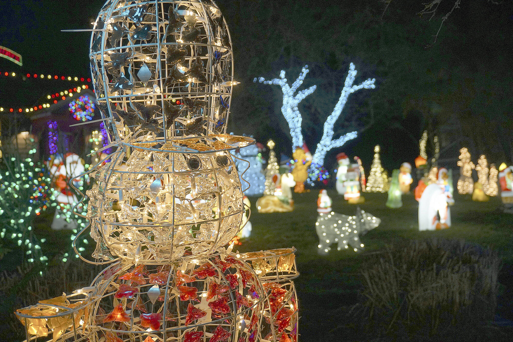 More than 100 figurines and roughly 40,000 total lights adorn the yard outside Wiley Jones Irwin’s home. Luciano Marano | Bainbridge Island Review