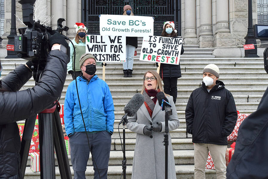 Forest ecologist Andy MacKinnon, left, Ancient Forest Alliance campaigner Andrea Inness and Adam Olsen, Green Party MLA for Saanich and the Islands, speak during a press event at the B.C. Legislature on Tuesday. (Kiernan Green/News Staff)