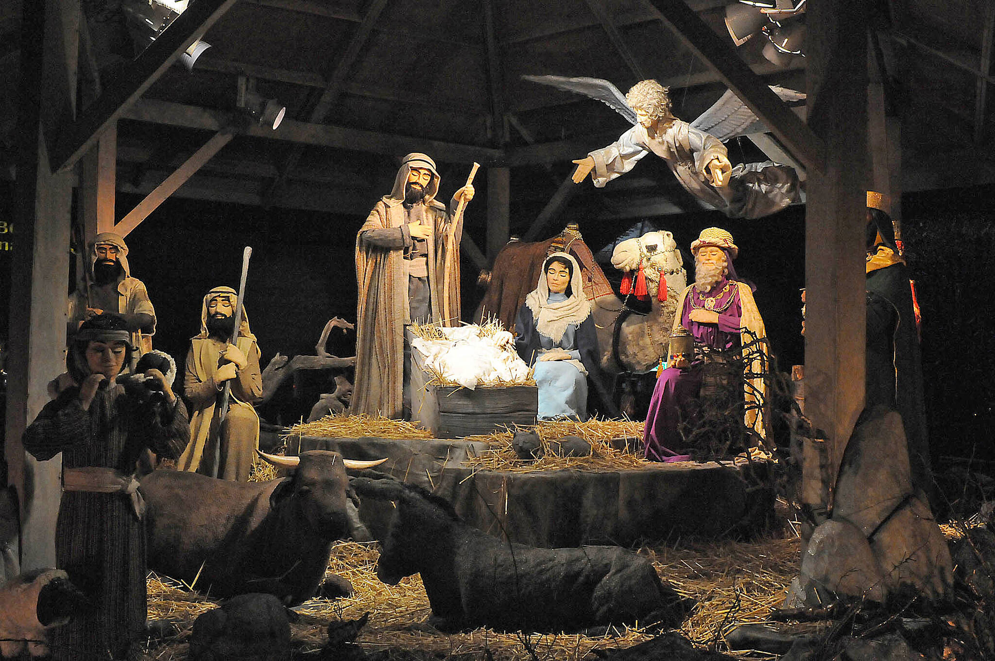 Nativity scenes, such as this one in Abbotsford, feature Mary, Joseph, Jesus, wise men and shepherds. Do you know how many shepherds are in the account of the birth of Jesus in the Bible? (Black Press file photo)