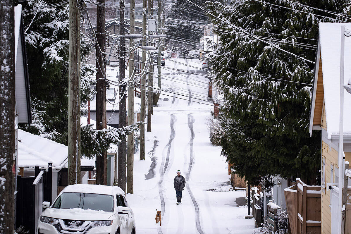 A man walks a dog after an overnight snowfall in Vancouver, B.C., Saturday, Dec. 25, 2021. THE CANADIAN PRESS/Darryl Dyck