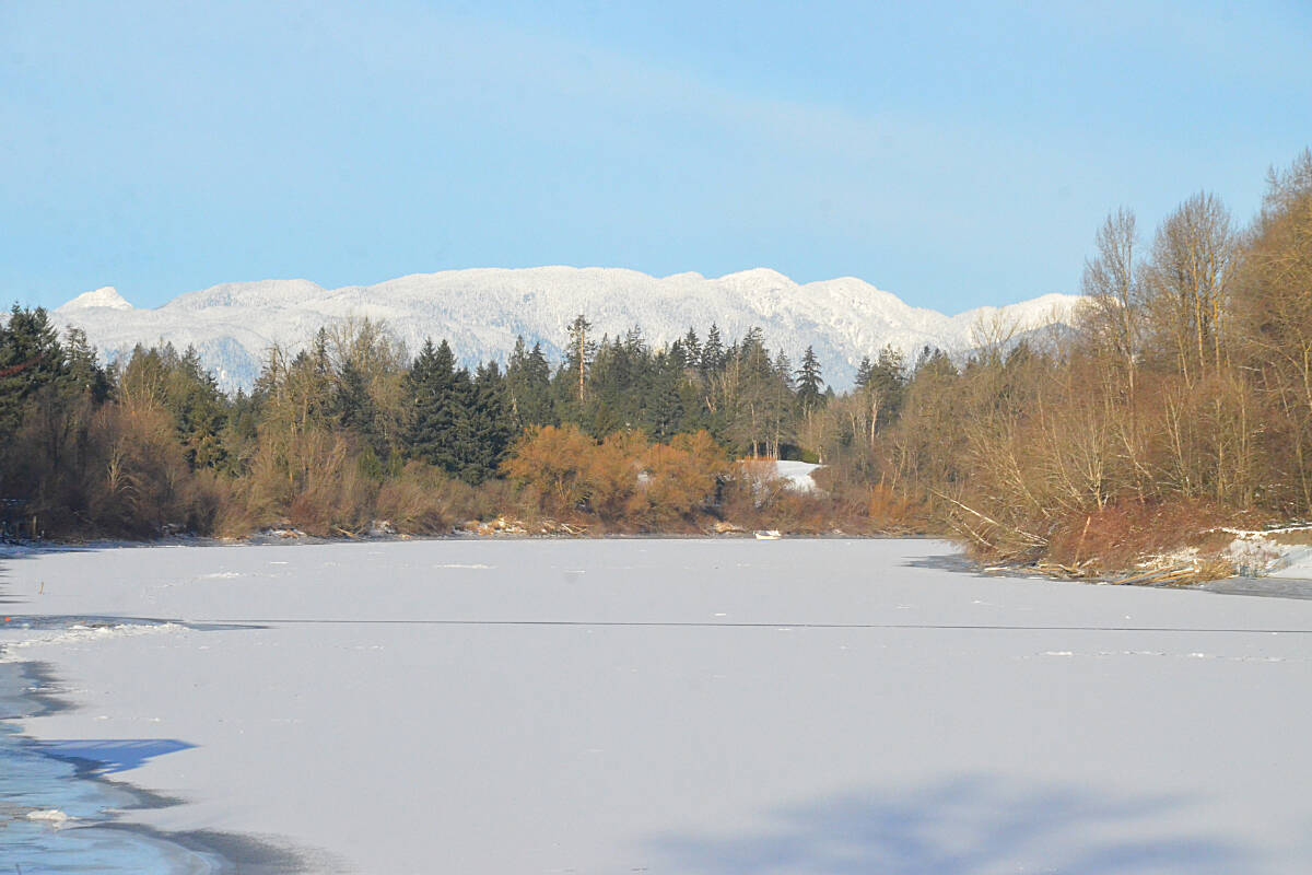 Fort Langley's Bedford Channel, part of the Fraser River, has frozen solid. (Matthew Claxton/Langley Advance Times)