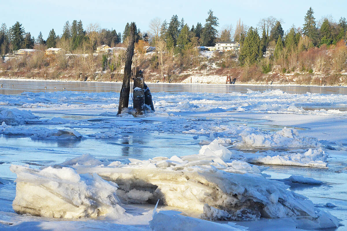 Ice on the Fraser River between Langley and Maple Ridge. (Matthew Claxton/Langley Advance Times)
