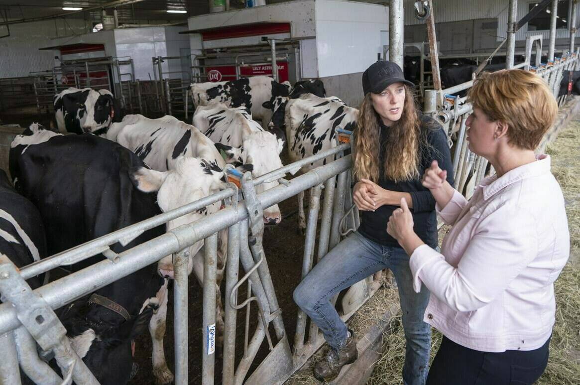 Marie-Claude Bibeau, Minister of Agriculture and Agri-Food, chats with farm owner Veronica Enright at her dairy farm in Compton, Que., Friday, Aug. 16, 2019. Arbitrators have issued their final report into U.S. complaints about how Canada is interpreting North American trade rules around dairy imports — and both countries are claiming victory. THE CANADIAN PRESS/Paul Chiasson