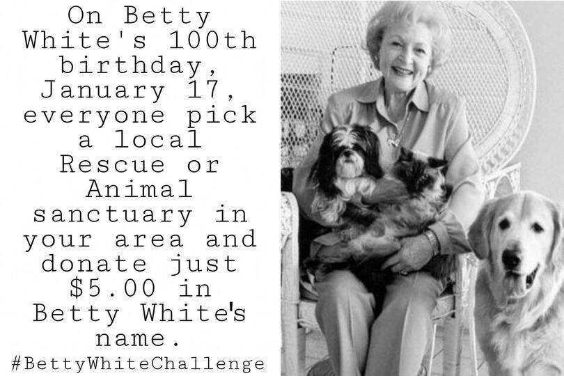 Memes flood the internet encouraging fans to donate to an animal shelter on what would have been Betty White’s 100th birthday, in honour of her lifelong passion for animal causes. (Creator unknown/Facebook)