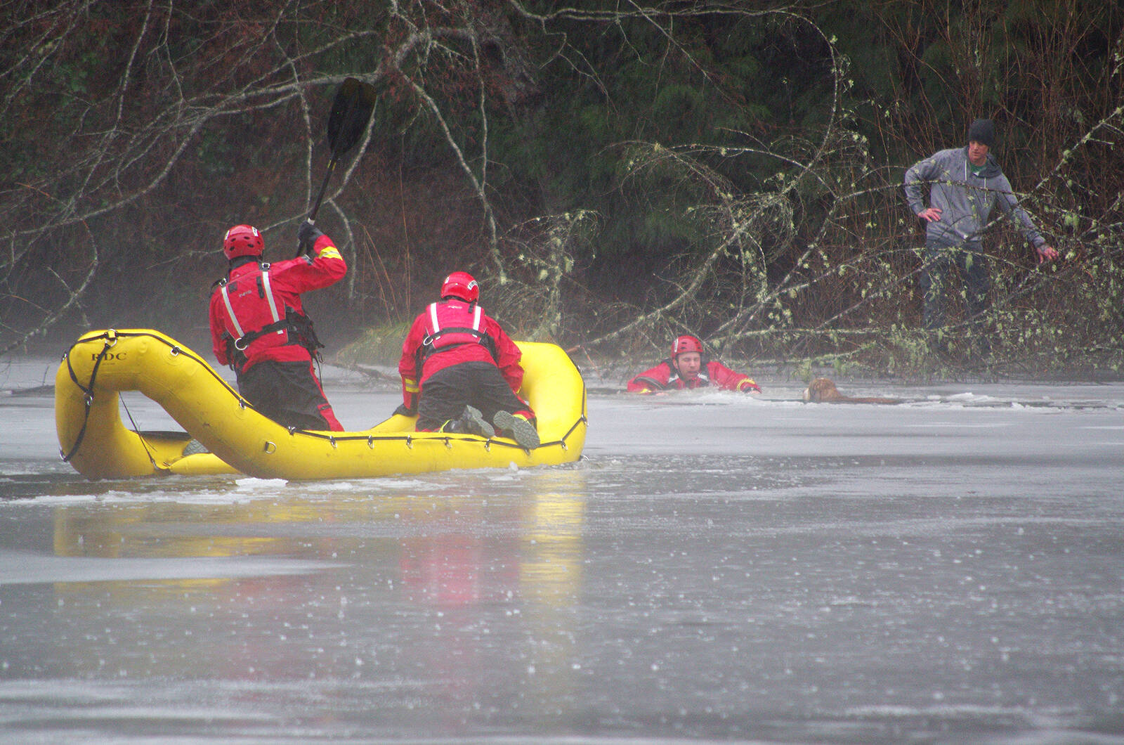 Volunteer firefighters with North Cedar Volunteer Fire Department braved near-freezing waters to save a dog that was seen struggling for its life after falling through ice on Holden Lake in Hemer Park south of Nanaimo. (Chris Bush/News Bulletin)