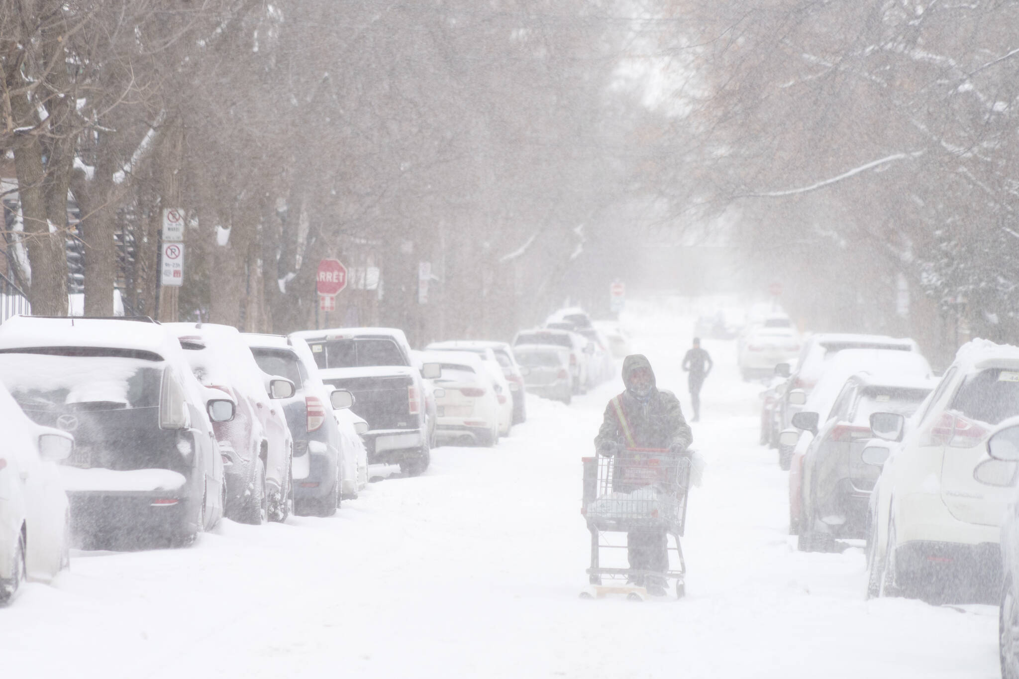 A man delivers fliers to homes during a winter snowstorm in Montreal on Monday, January 17, 2022. THE CANADIAN PRESS/Paul Chiasson