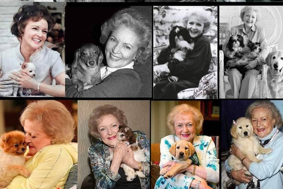 Victoria Humane Society celebrated what would have been Betty White’s 100th birthday with a collage as people took part in the #BettyWhiteChallenge, donating cash to an animal charity. (Victoria Humane Society/Facebook)