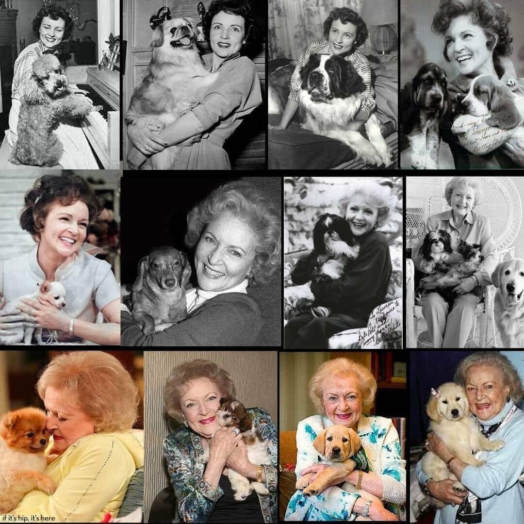 Victoria Humane Society celebrated what would have been Betty White’s 100th birthday with a collage as people took part in the #BettyWhiteChallenge, donating cash to an animal charity. (Victoria Humane Society/Facebook)