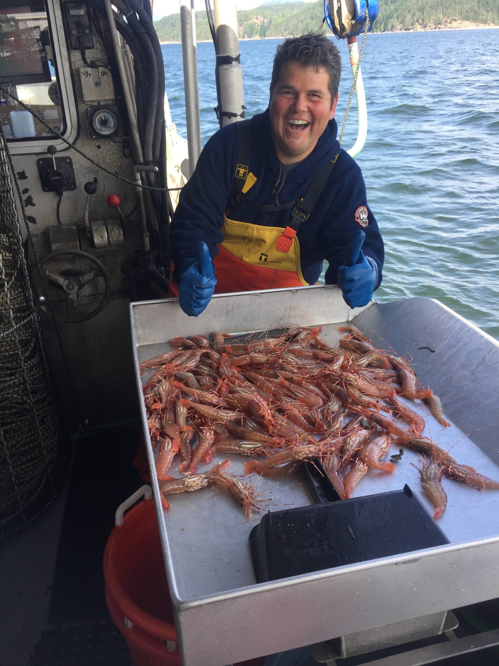 Zeke Pellegrin, a Campbell River prawn harvester, with live prawns just emptied from a trap on a sorting table. Photo courtesy Zeke Pellegrin.