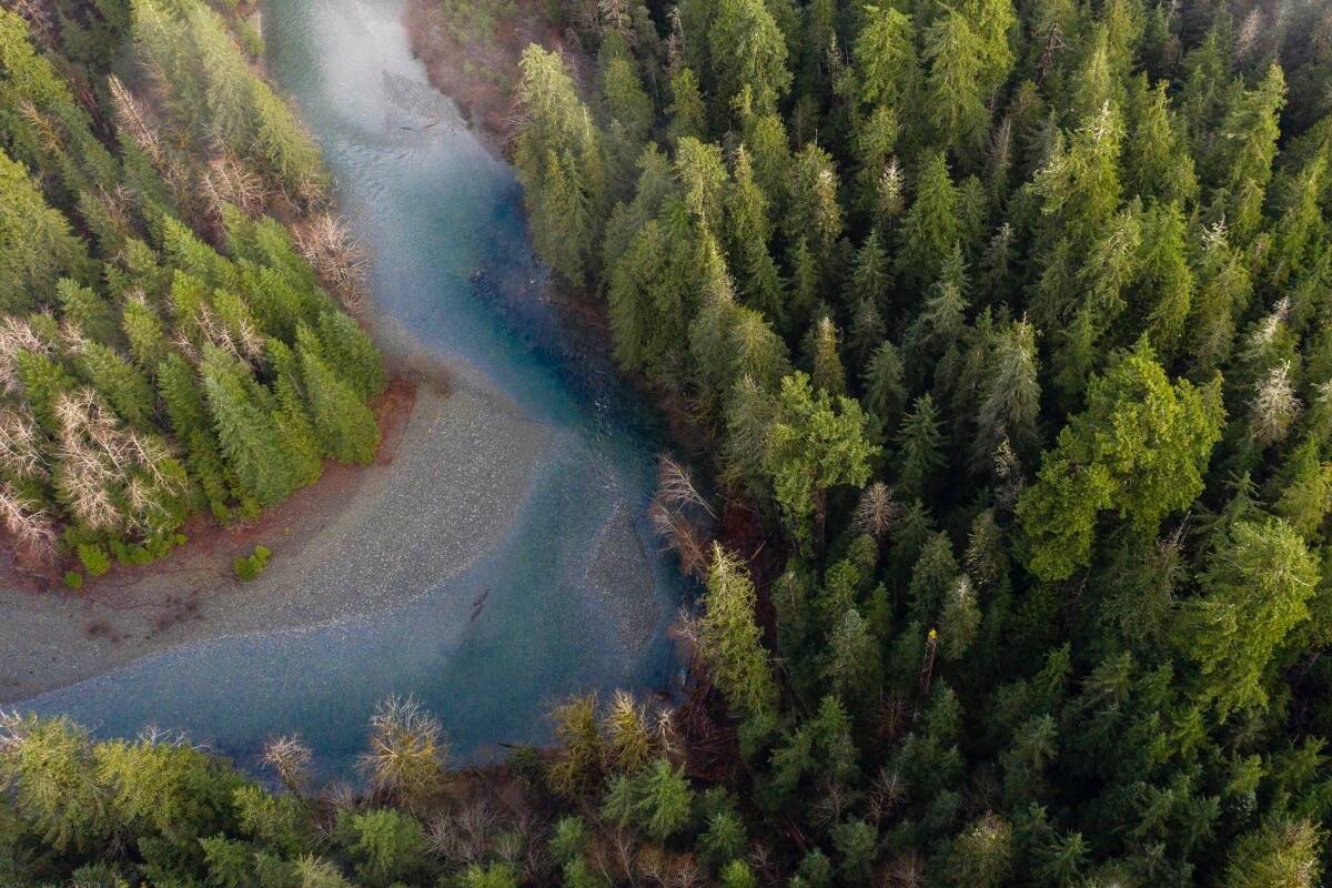 The B.C. environment ministry is developing a watershed security strategy to protect wetlands. (B.C. government photo)