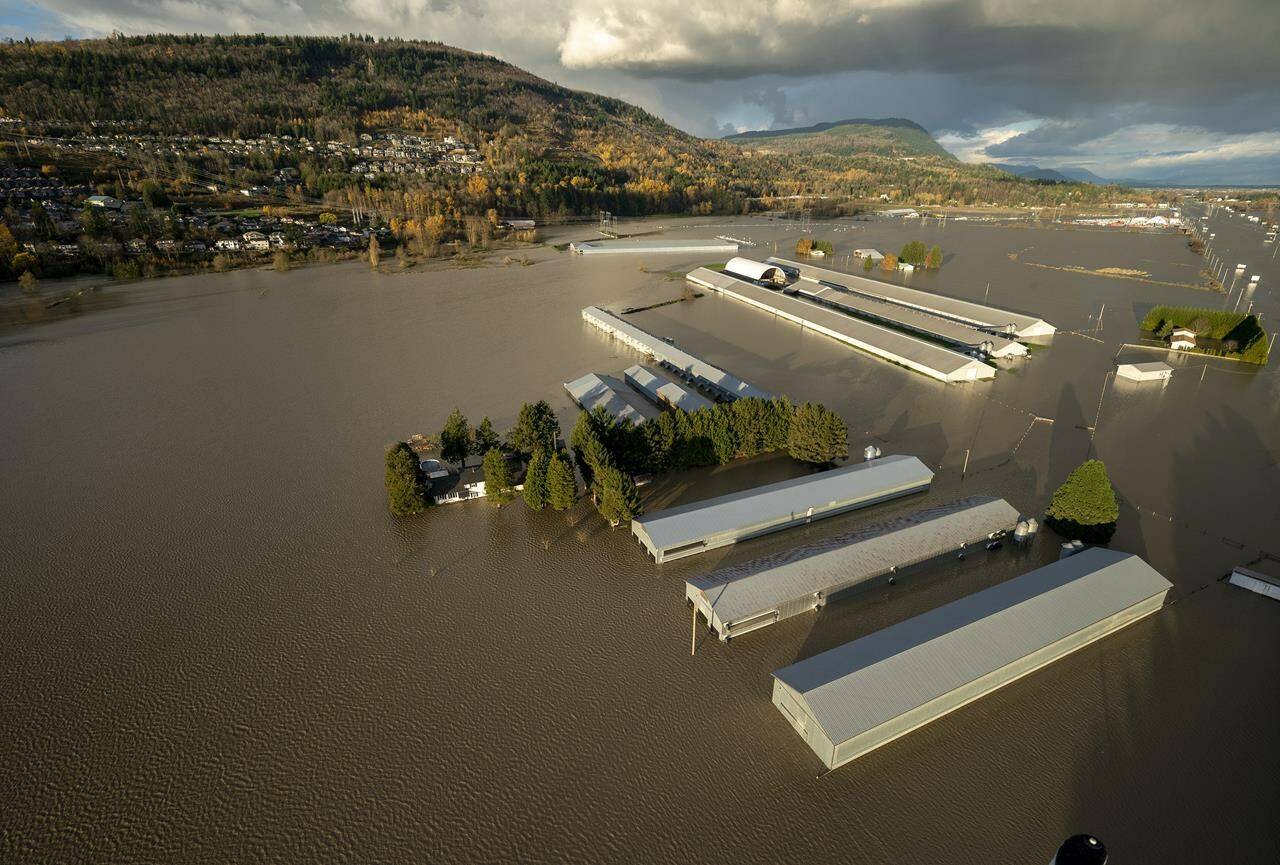 Rising flood waters are seen surrounding barns in Abbotsford, B.C., Tuesday, Nov. 16, 2021. A recovery package is expected to be announced today for British Columbia’s agriculture industry after devastating floods last November. THE CANADIAN PRESS/Jonathan Hayward