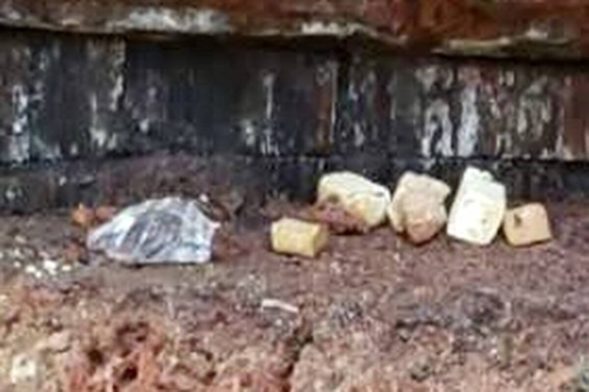 Small pieces of glass have been found beside dog treats in the Moquito Creek trails on Monday, Feb. 7, 2022. (North Vancouver RCMP)