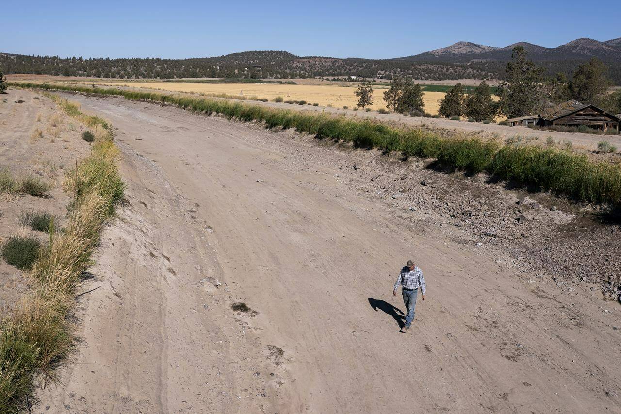 FILE - Matt Lisignoli walks through an irrigation canal that ran dry in early August after the North Unit Irrigation District exhausted its allocated water on Sept. 1, 2021, near Madras, Ore. The American West’s megadrought deepened so much last year that it is now the driest it has been in at least 1200 years and a worst-case scenario playing out live, a new study finds. (AP Photo/Nathan Howard, File)