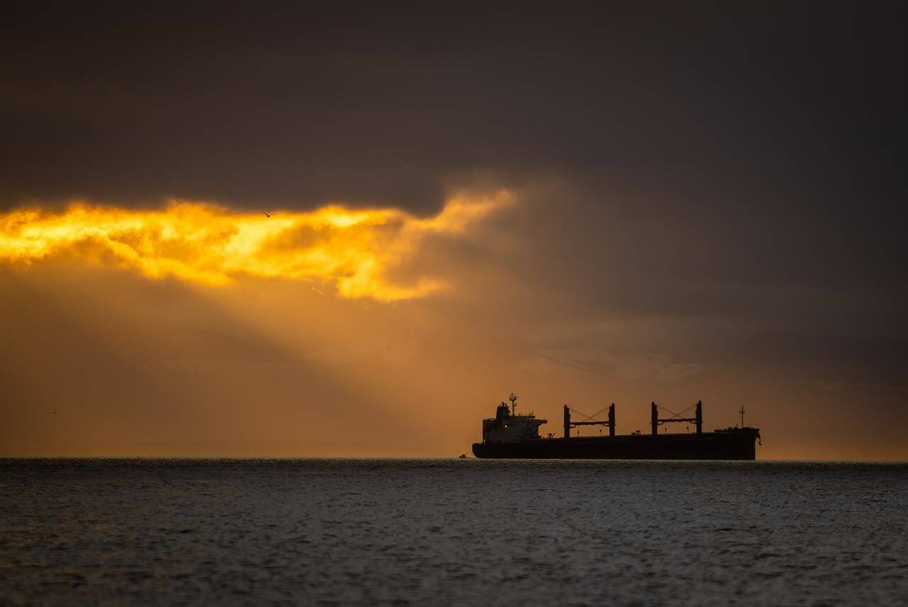 A bulk carrier cargo ship is seen at anchor on Burrard Inlet at sunset in Vancouver, B.C., Sunday, Jan. 3, 2021. International merchandise trade numbers for January are expected from Statistics Canada on Tuesday. THE CANADIAN PRESS/Darryl Dyck