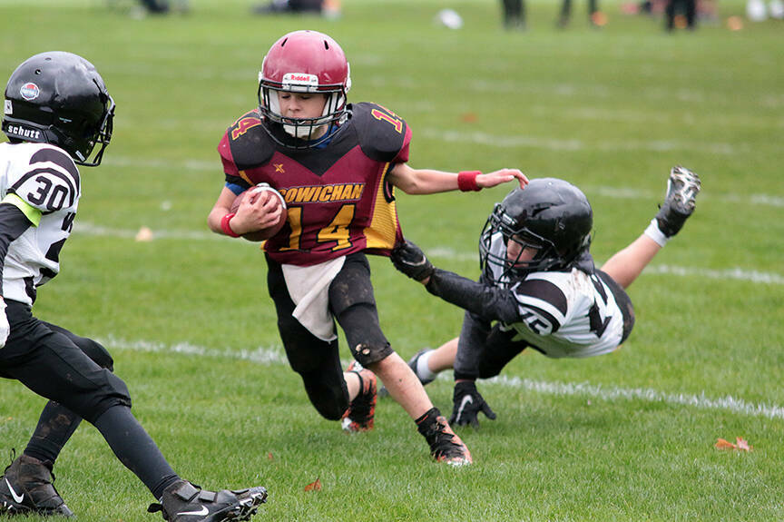 Cowichan Bulldogs and Saanich Wolverines clash in Vancouver Island peewee football semifinal at Duncan’s McAdam Park. (Kevin Rothbauer/Citizen)