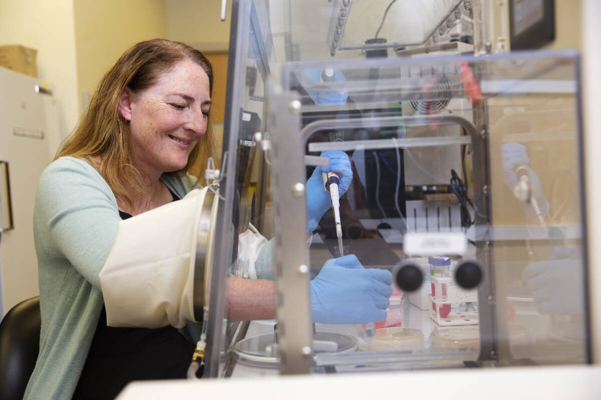 Using a specialized chamber, UVic microbiology professor Caroline Cameron works with the bacterium that causes syphilis. She’s researching a better diagnostic test and vaccine for the STI. (Courtesy UVic Photo Services)