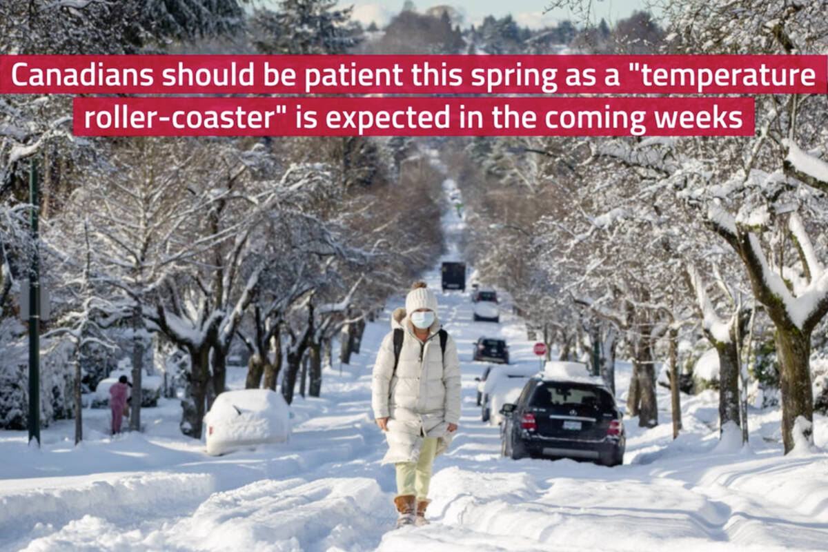 Canadians are in for a wild ride on a temperature roller-coaster in the coming weeks. THE CANADIAN PRESS/Darryl Dyck