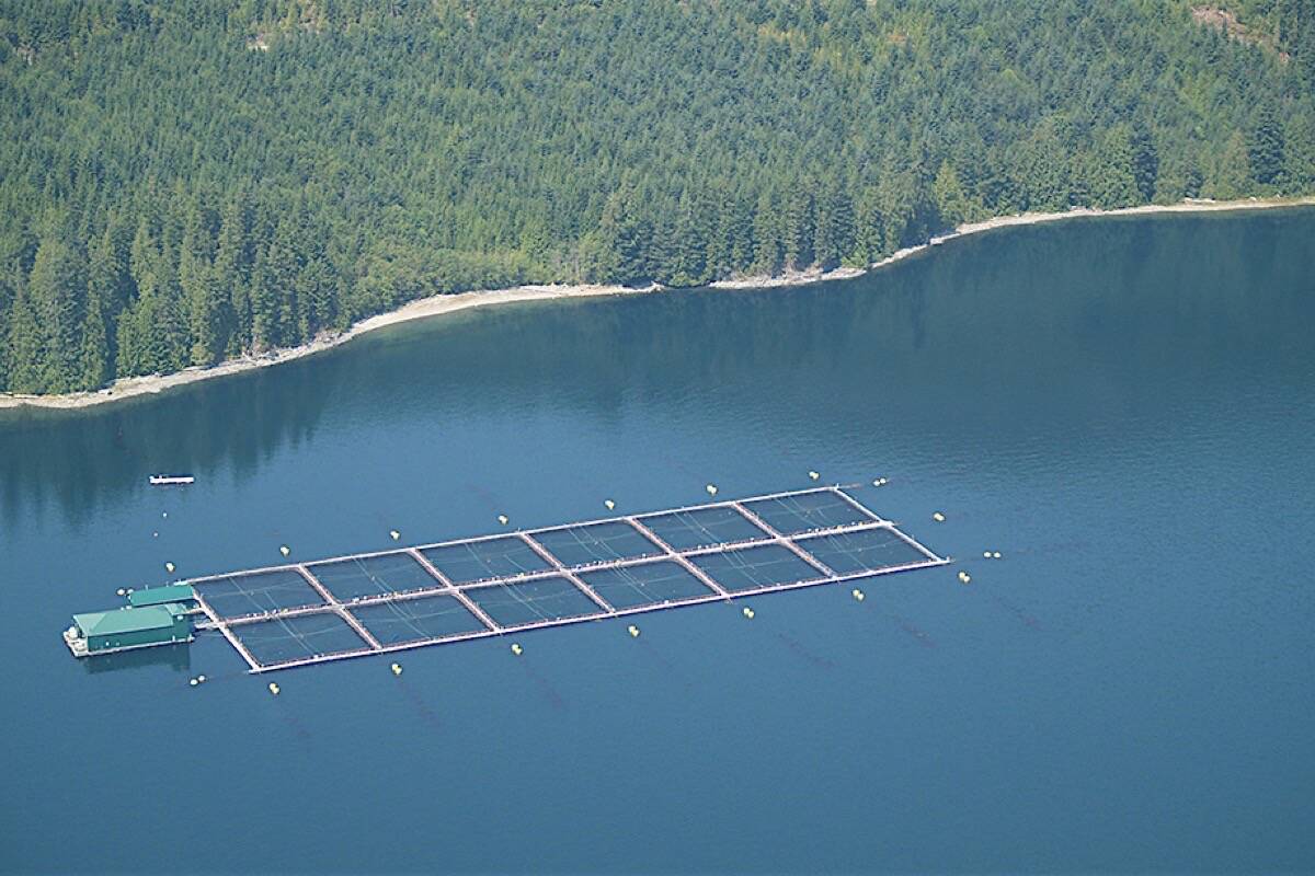 An open-net pen salmon farm on the B.C. waters coast (Black Press file photo)