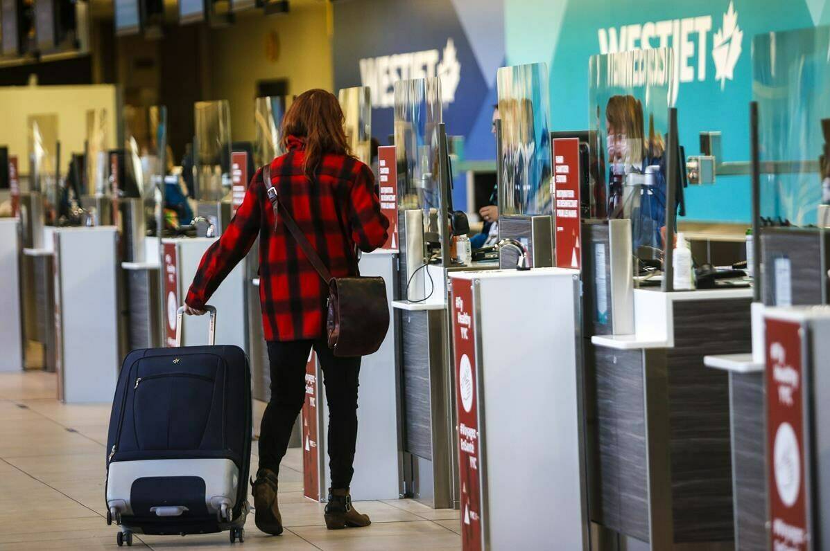 A passenger checks in at a Westjet counter at the Calgary Airport in Calgary, Alta., Friday, Oct. 30, 2020. WestJet Airlines Ltd. is preparing for an “immediate and dramatic” uptick in demand in the wake of the government of Canada’s decision to remove pre-entry COVID-19 testing requirements for vaccinated travellers.THE CANADIAN PRESS/Jeff McIntosh